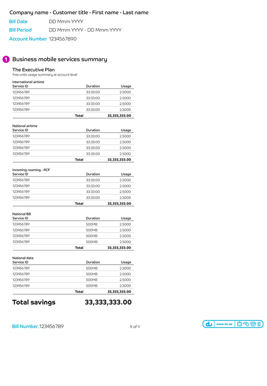 How To Read Du Business Bill Du