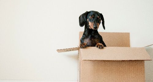 home tv package