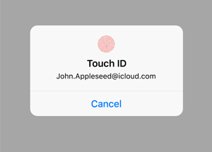 scan-your-fingerprint